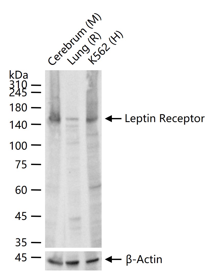 产品细节图片10