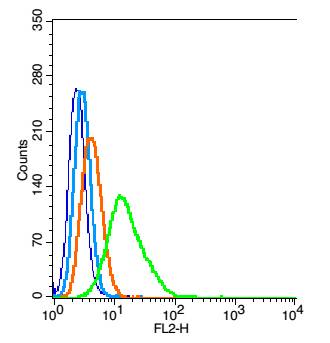 C21orf33 Rabbit pAb(bs-15124R)