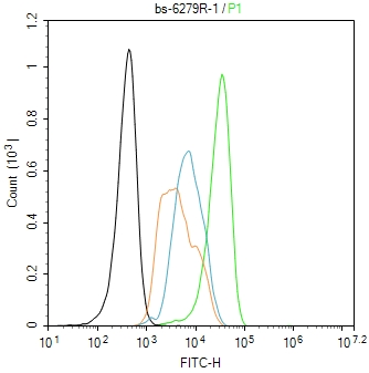 ENPP2 Rabbit pAb(bs-6279R)-50u