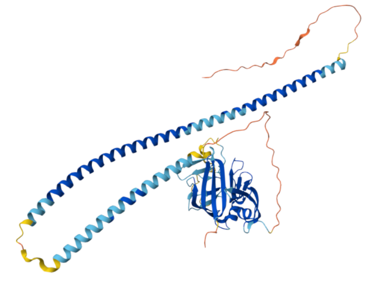 从单抗到siRNA：ANGPTL3靶点重塑降脂疗法格局