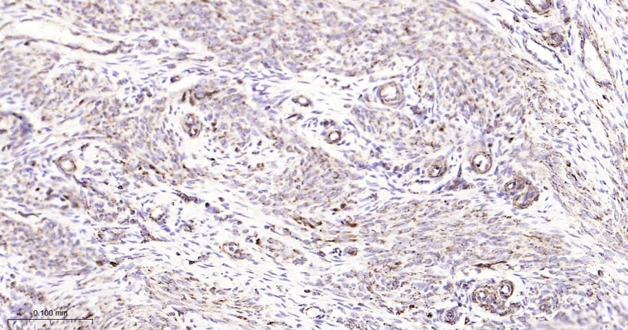 产品细节图片10