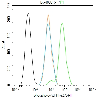 phospho-c-Abl (Tyr276) Rabbit 