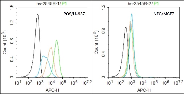 IL-2R gamma Rabbit pAb(bs-2545