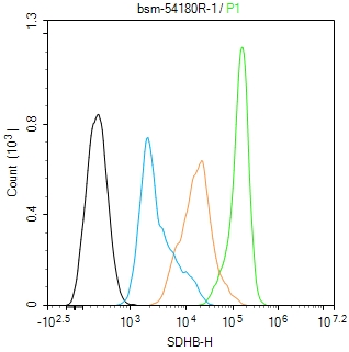 SDHB Recombinant Rabbit mAb(bs