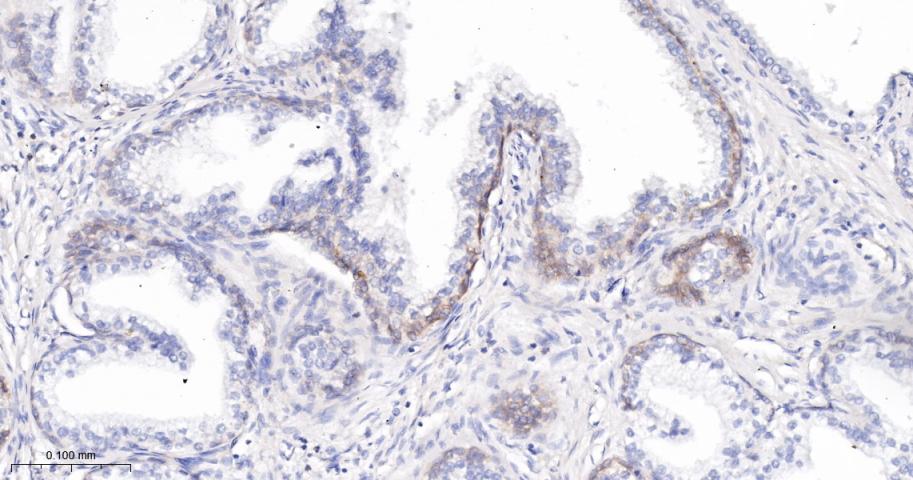 产品细节图片13