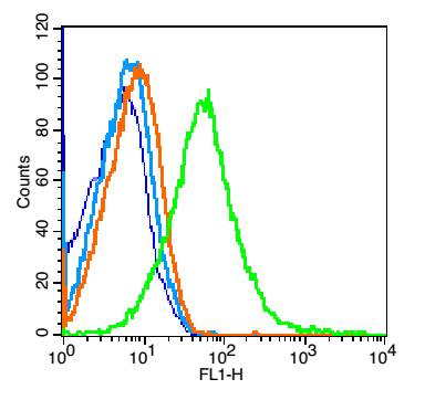 KIRREL3 Rabbit pAb(bs-11864R)-