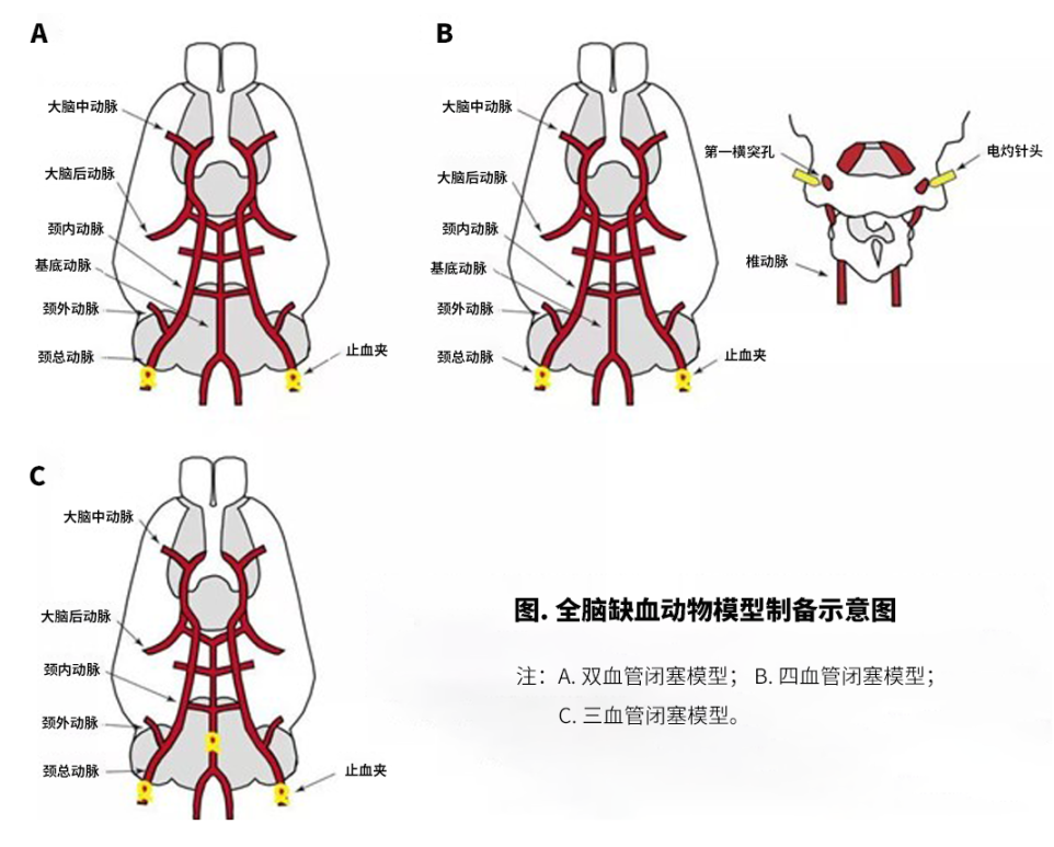新闻图片1