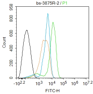Peroxiredoxin 1 Rabbit pAb(bs-