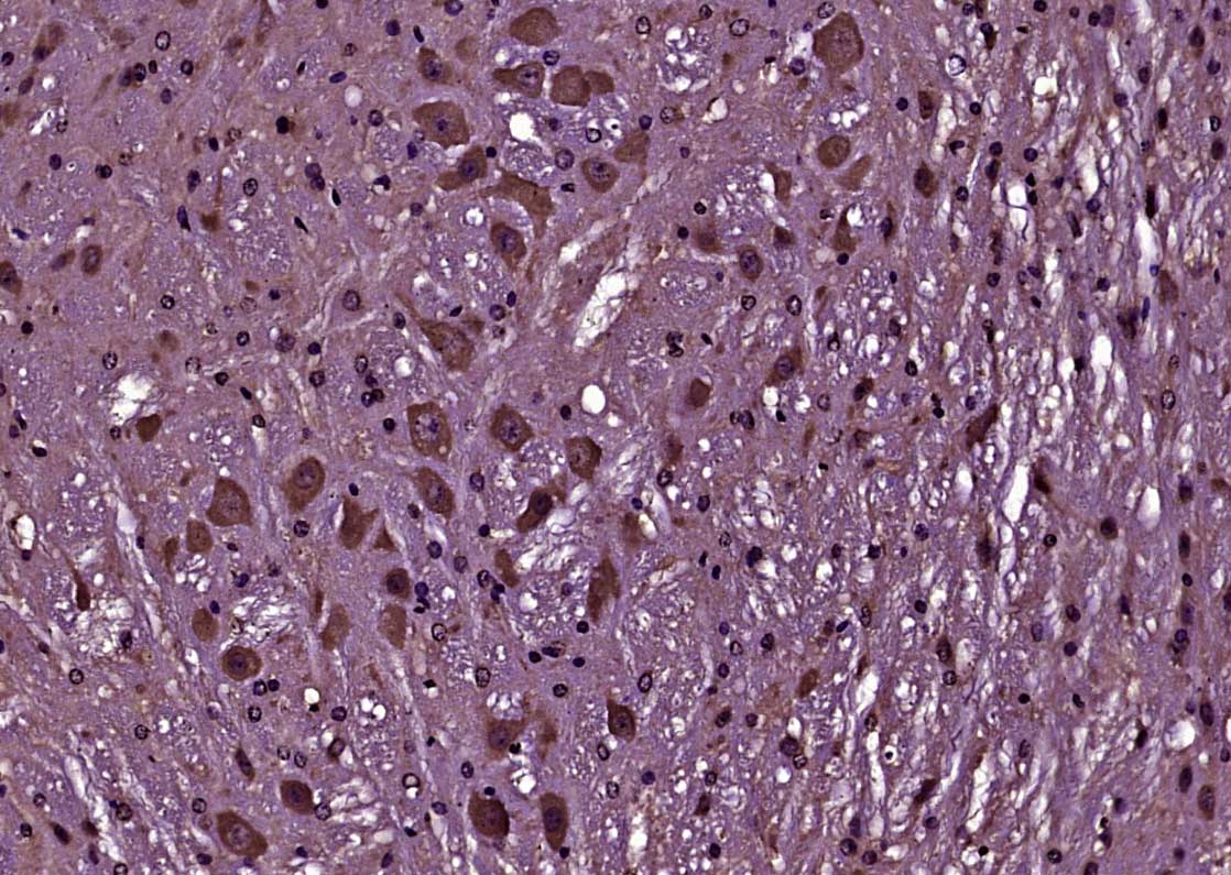 产品细节图片10