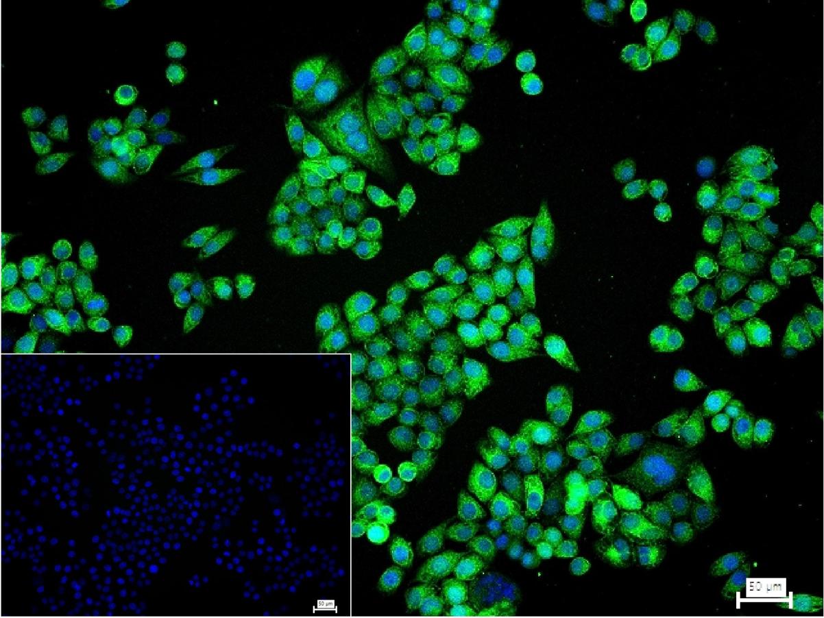 产品细节图片11