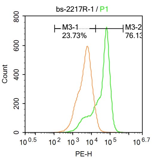 Integrin alpha E Rabbit pAb(bs