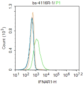 IFNAR1 Rabbit pAb(bs-4116R)-50