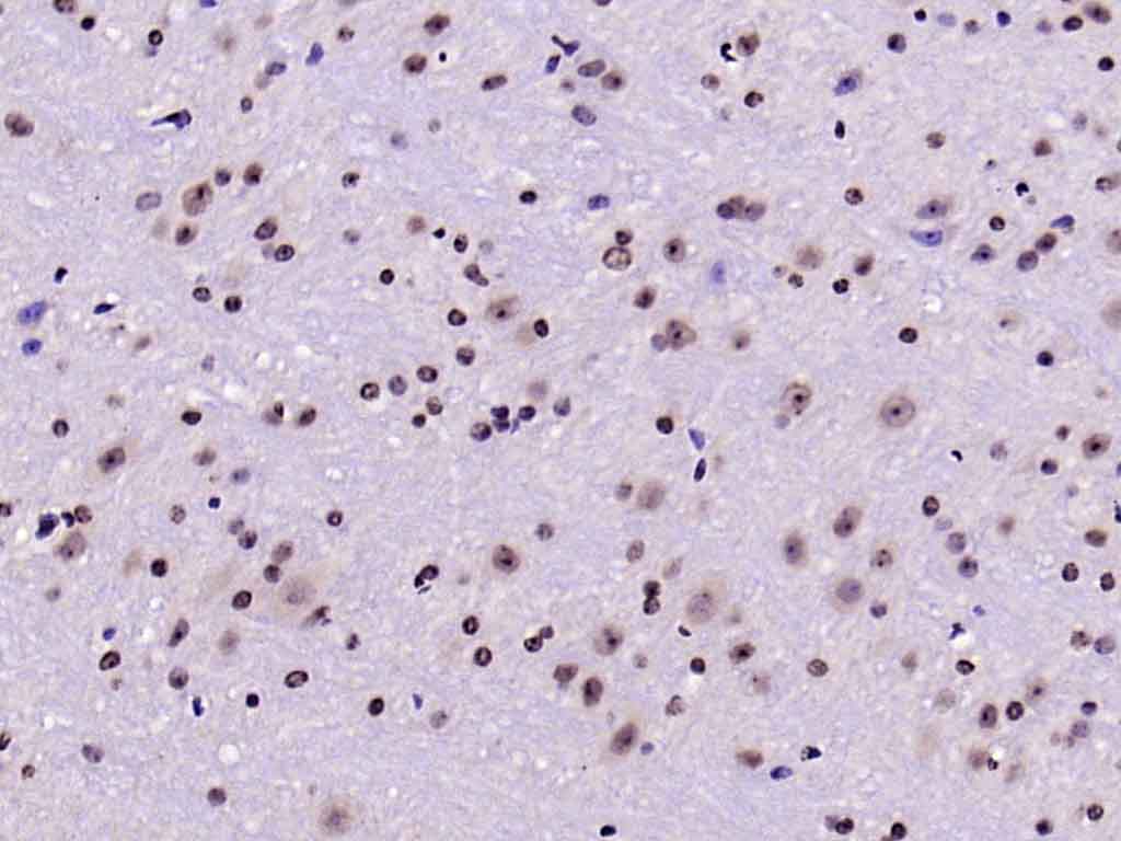 产品细节图片12