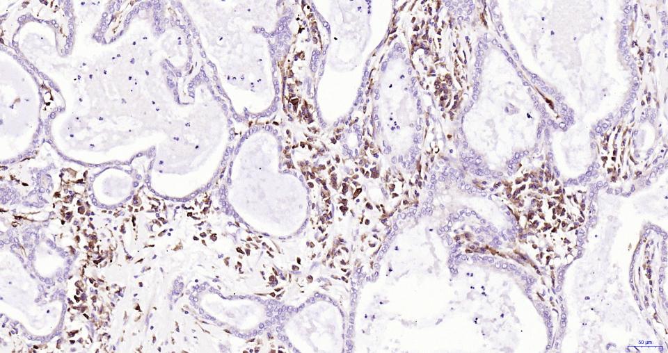 产品细节图片11