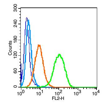 CD112 Rabbit pAb(bs-2679R)-50u