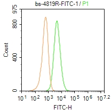 CD45 Rabbit pAb(bs-4819R)-50ul