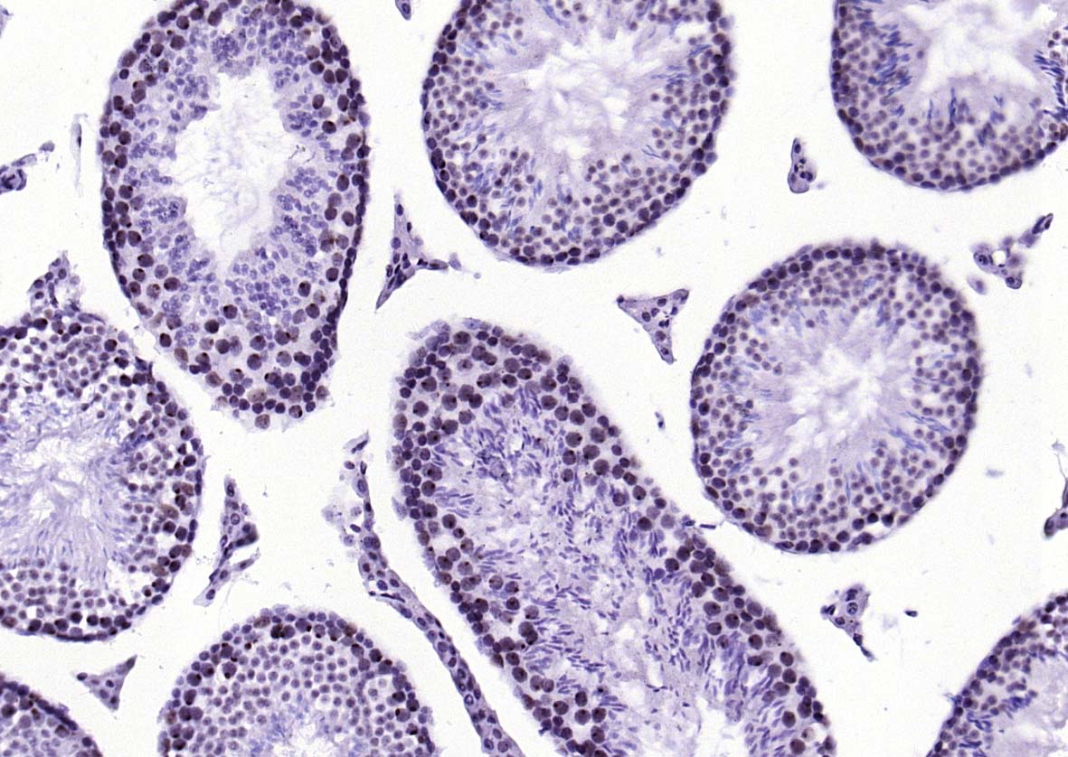 产品细节图片12