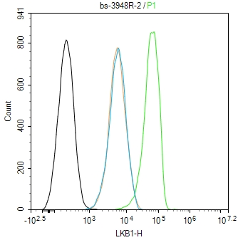 LKB1 Rabbit pAb(bs-3948R)-50ul