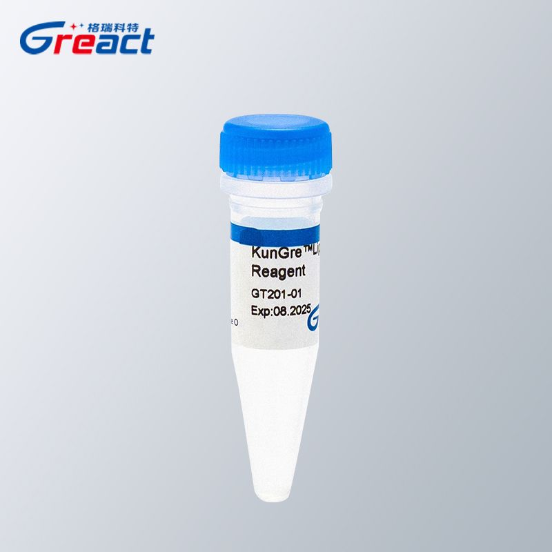 KunGre ™ Liposomal Transfection Reagent脂质体核酸转染试剂