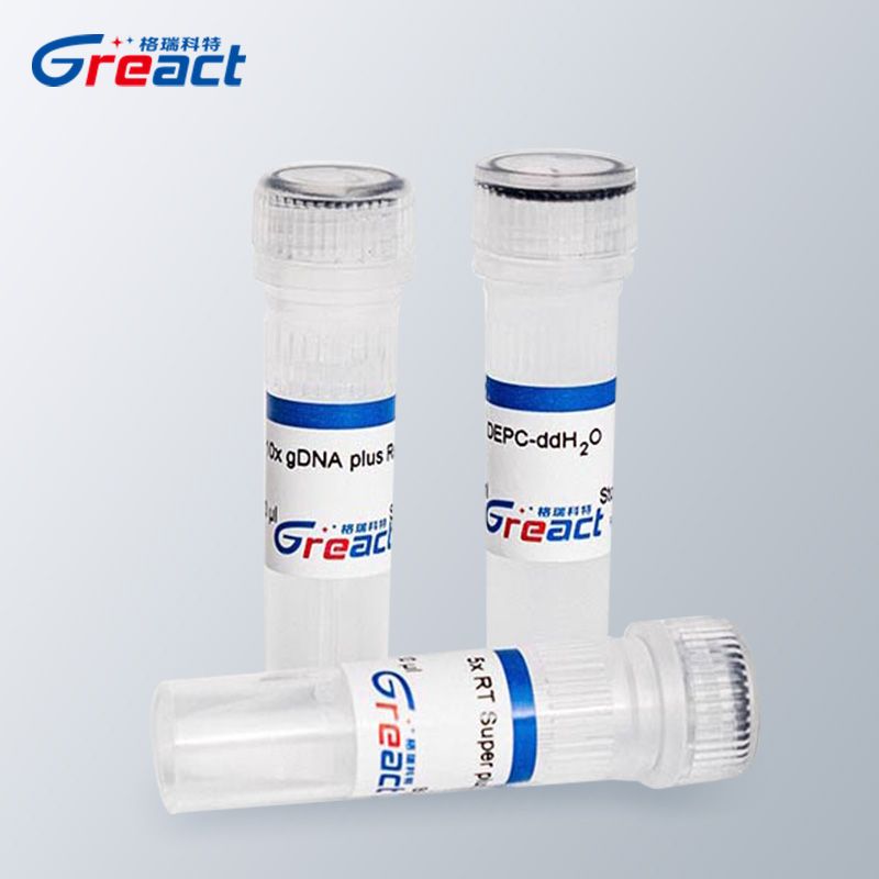 Greact 反转录试剂盒 逆转录mix for qPCR，含gDNA去除