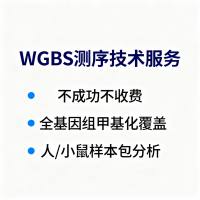 WGBS全基因组甲基化测序技术服务