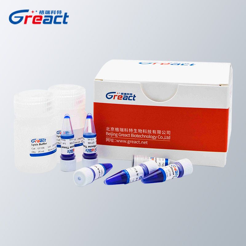 KunGre ®Mouse Tissue Direct PCR Kit小鼠组织直接扩增试剂盒