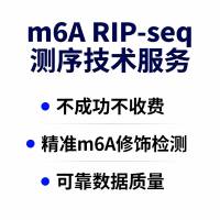 m6A RIP-seq测序 | 核酸-蛋白互作研究技术