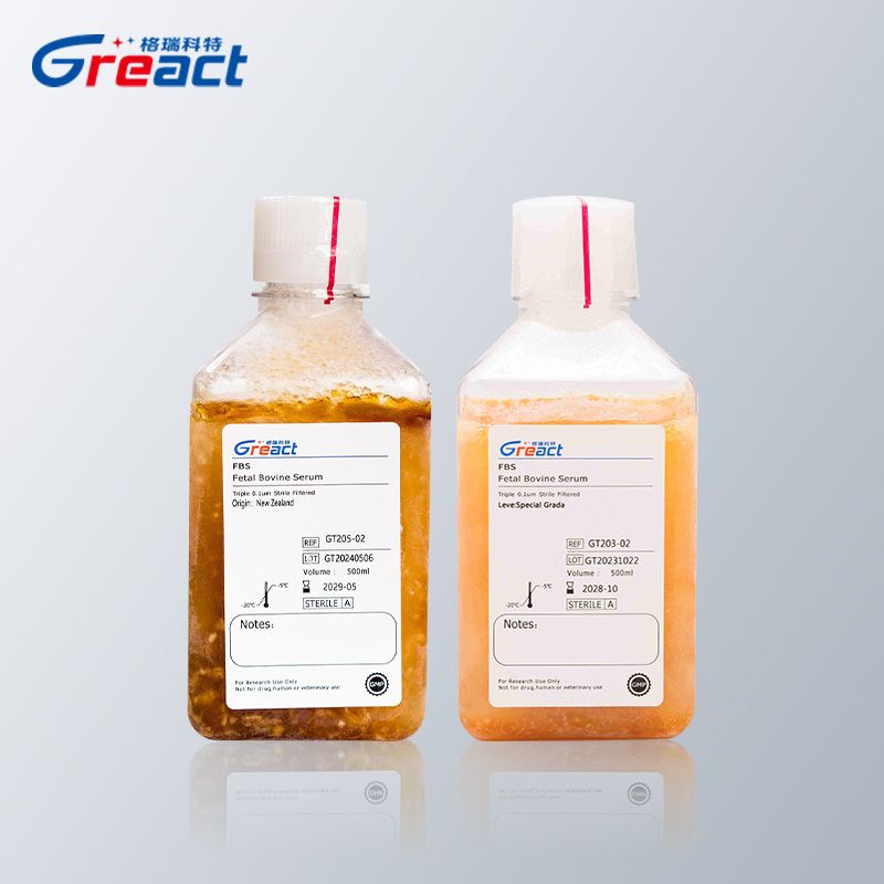 特级胎牛血清 Greact细胞培养实验科研用试剂进口替代南美/新西兰