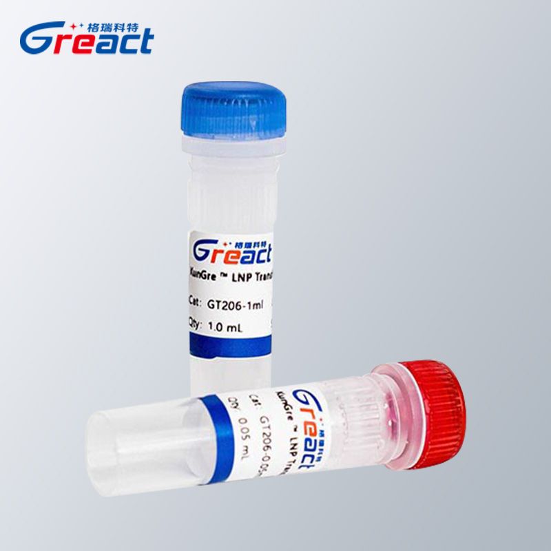 KunGre™ LNP Transfection Reagent for RNA转染试剂对标RNAiMax