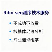 Ribo-seq活跃翻译组测序技术服务