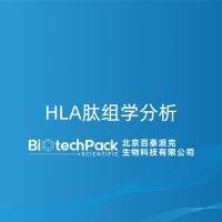HLA肽组学分析