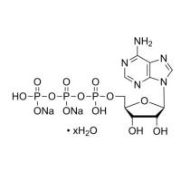 腺苷 5′-三磷酸 二钠盐 水合物.