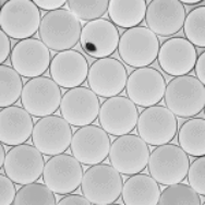 【点成干货-微流控】微流体应用说明
