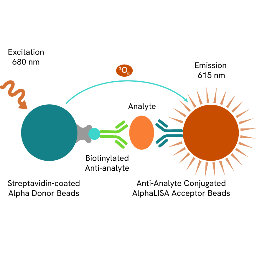 Diagram illustrating the principle of an AlphaLISA assay.