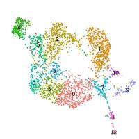 类器官单细胞测序分析(scRNA-Seq)