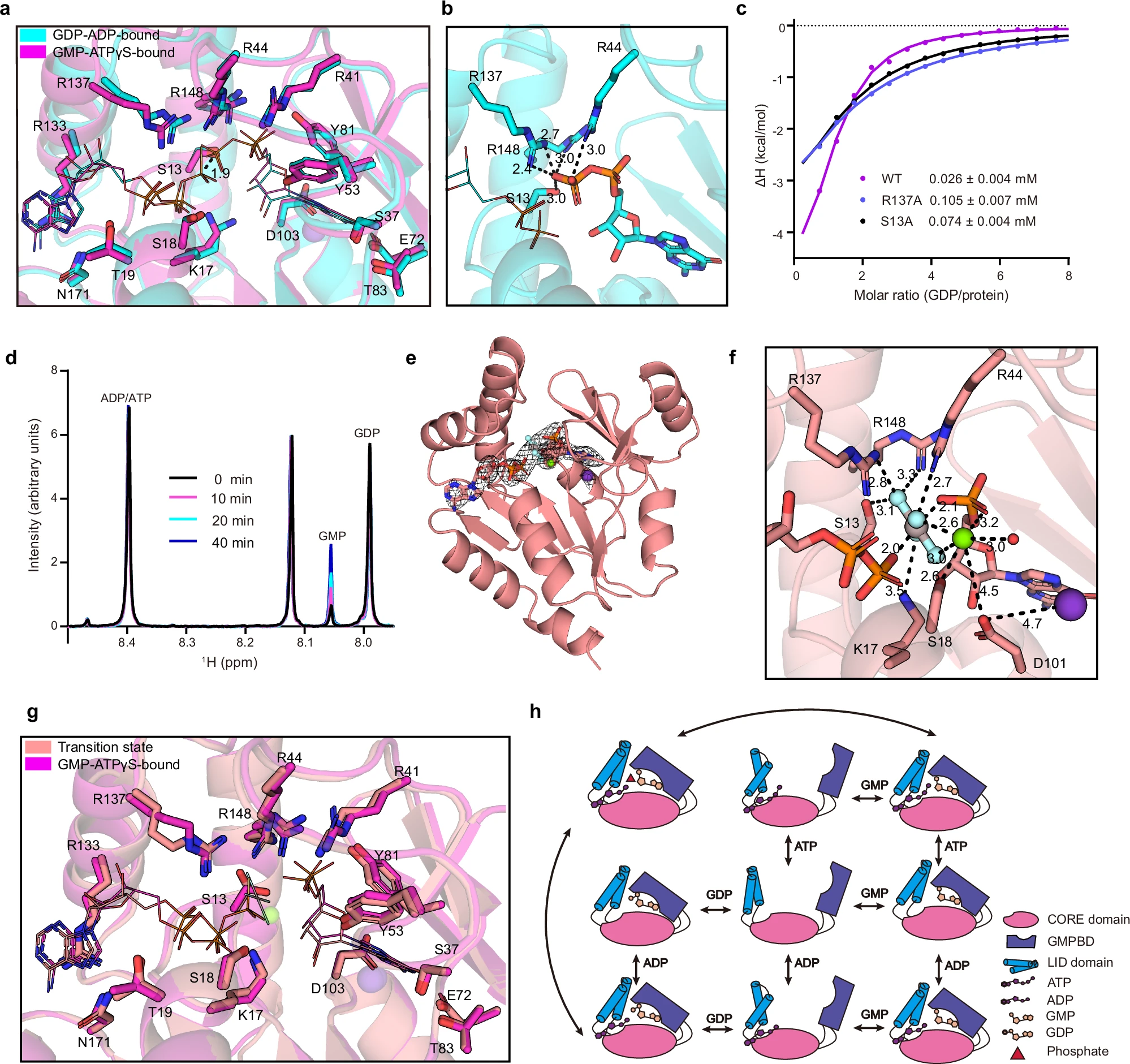 BMG LABTECH多功能酶标仪文献分享,中科大研究团队发表在Nature Communications 上名为Comprehensive profiling of the catalytic conformations of human Guanylate kinase