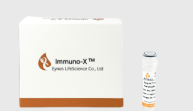 链霉亲和素磁珠解析