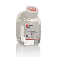 HBSS (10X)，含钙、镁，无酚红