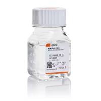 MEM 非必需氨基酸溶液 (100X)