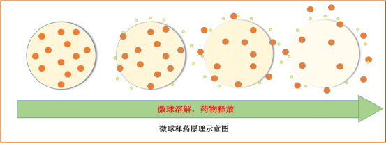 微球递送系统技术：实现药物更精准、更持久释放的长效缓释与靶向化解决方案