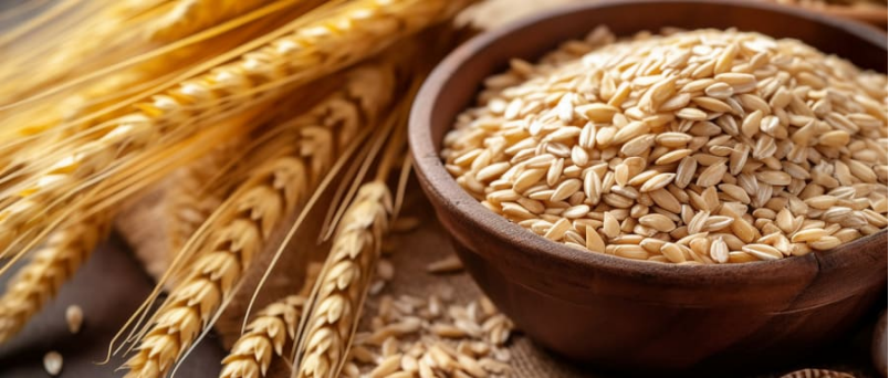 【点成应用案例-水浴】水浴设备在食品特性研究中的应用