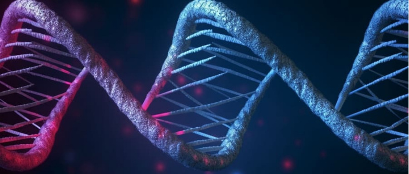 【点成技术-CRFT免液氮程序降温仪】冷冻保存技术对生物样本库的重要性