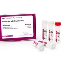 UltraScript® 逆转录酶