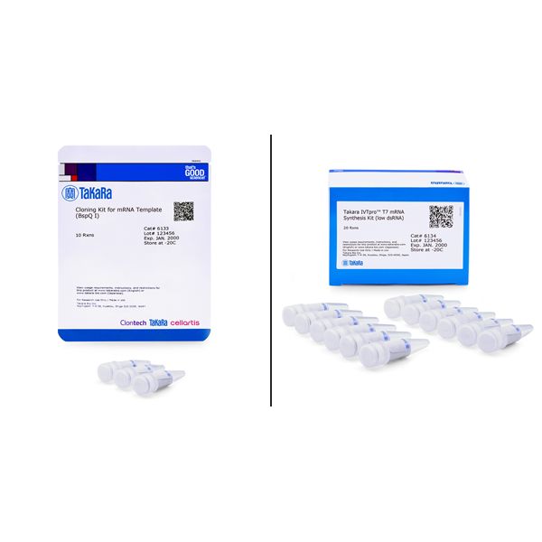 Takara IVTpro™ mRNA Synthesis System (low dsRNA)