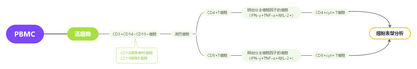 OMIP-001:16色检测T细胞表型及其产生的细胞因子