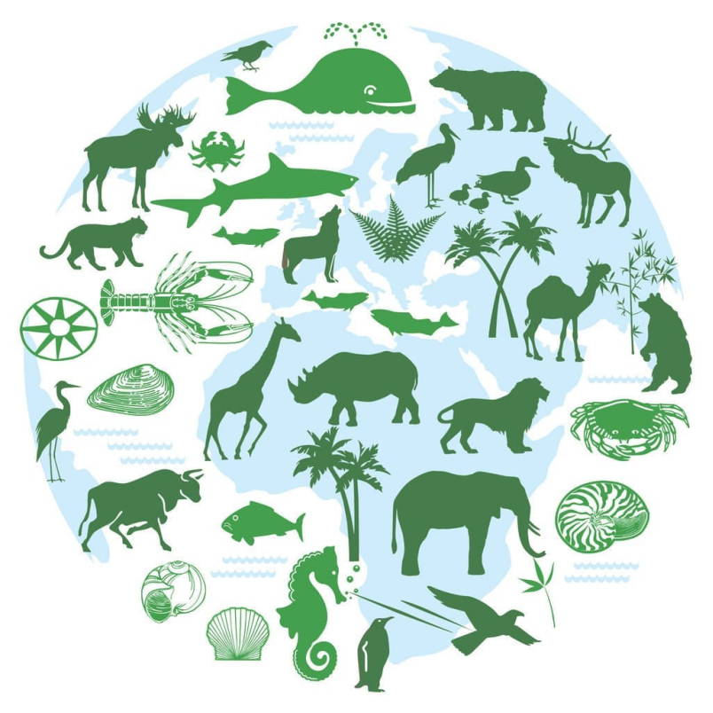 【点成技术-CRFT免液氮程序降温仪】冷冻保存技术对生物样本库的重要性