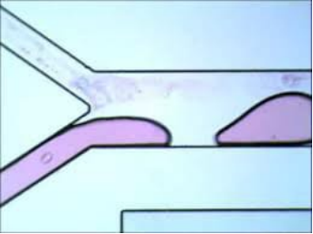 【点成干货-微流控】微流体应用说明