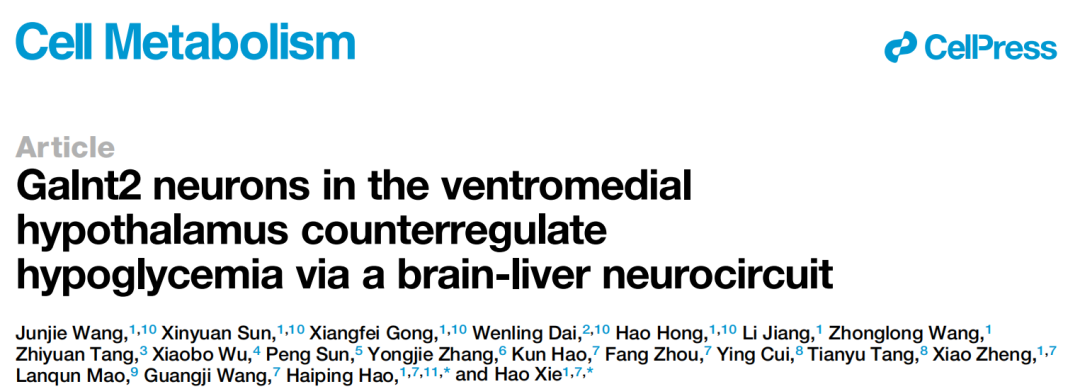 IF=30.9【客户文章】中国药科大学郝海平教授/谢昊教授团队揭示葡萄糖抑制型（GI）神经元调控低血糖抵抗新机制