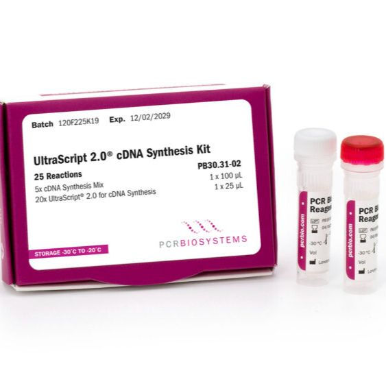 UltraScript® 2.0 逆转录酶及相关试剂盒