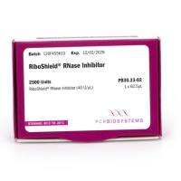 RiboShield® RNase inhibitor